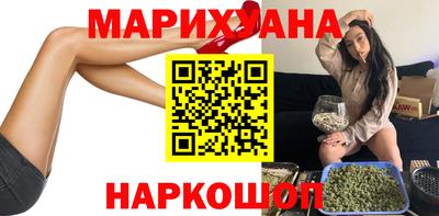 сатива Ставрополь