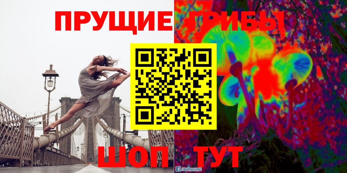 Галлюциногенные грибы Psilocybe  Вход с VPN  Мурино 