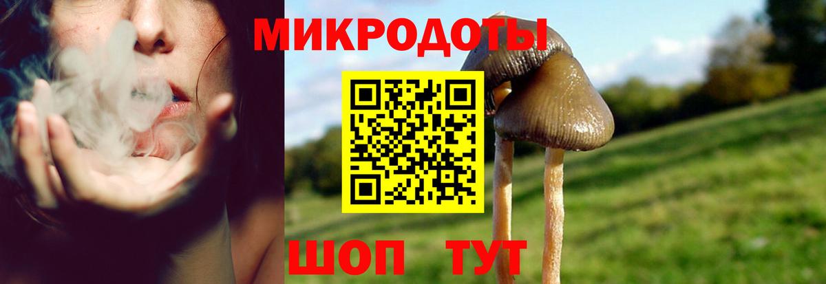 Галлюциногенные грибы MAGIC MUSHROOMS Мурино